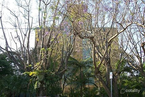 11/146 Macquarie St, St Lucia, QLD 4067