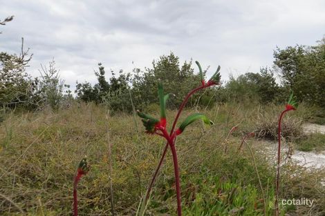 Property photo of 112 Honeymyrtle Loop Forrestdale WA 6112