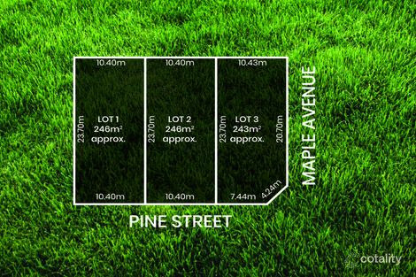 Property photo of 1 Pine Street Royal Park SA 5014