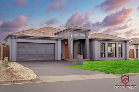 Property photo of 25 Ruth Bedford Street Franklin ACT 2913