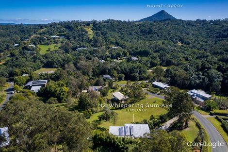 Property photo of 42 Whispering Gum Avenue Eumundi QLD 4562