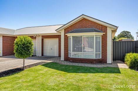 Property photo of 11 Burton Avenue Park Holme SA 5043