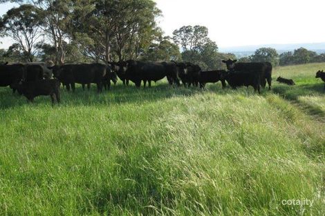 542 Wellington Vale Rd, Deepwater, NSW 2371