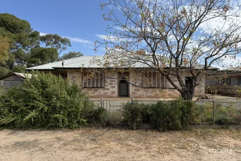 45 Arkaba St, Hawker, SA 5434