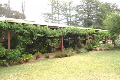 Property photo of 3 Poole Street Cootamundra NSW 2590