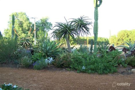 Property photo of 13 Blencowe Road Utakarra WA 6530