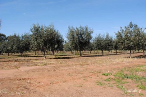 Property photo of 5 Fawcett Drive Lake Wyangan NSW 2680