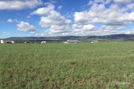 Property photo of 42 Allan Cunningham Road Scone NSW 2337