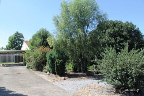 48 Merindah Ave, Manilla, NSW 2346