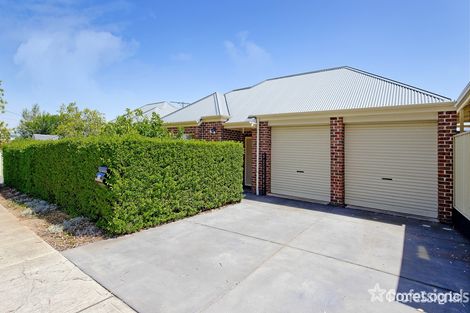 Property photo of 26 Milbank Avenue Gilles Plains SA 5086