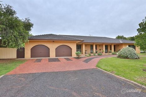 239 Walnut Ave, Mildura, VIC 3500