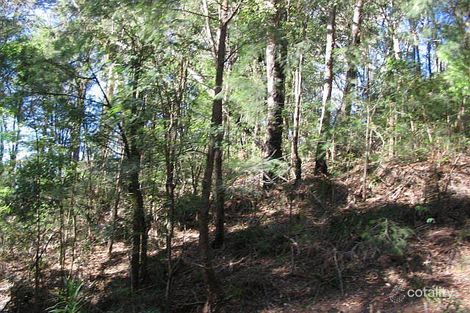 97 Tapley Rd, Mount Elliot, NSW 2250