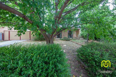 13 Dixson Cct, Conder, ACT 2906