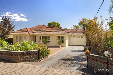 Property photo of 19 Edgcumbe Terrace Rosslyn Park SA 5072