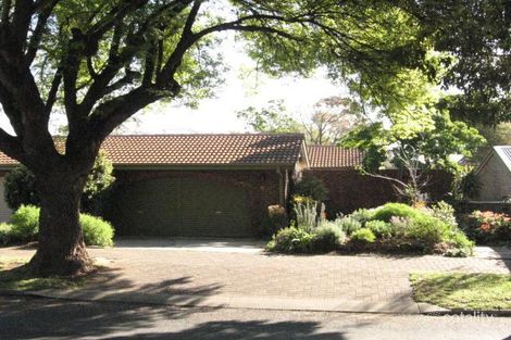 7 Bethune Ave, Glenunga, SA 5064