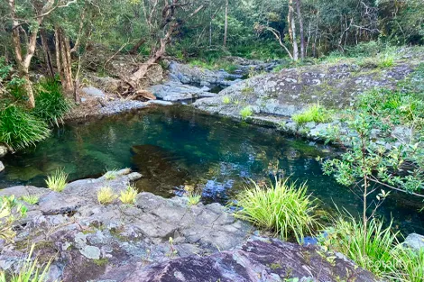 2667 Pappinbarra Rd, Pappinbarra, NSW 2446