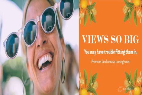 Property photo of 35 Tarragon Way Chisholm NSW 2322