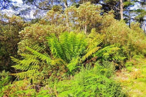 313 Lottah Rd, Goulds Country, TAS 7216