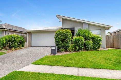61 Bella Bvd, Willow Vale, QLD 4209
