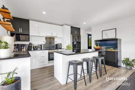 Property photo of 1337 Ridgley Highway Highclere TAS 7321