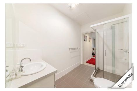 Property photo of 12/29 Forbes Street Turner ACT 2612