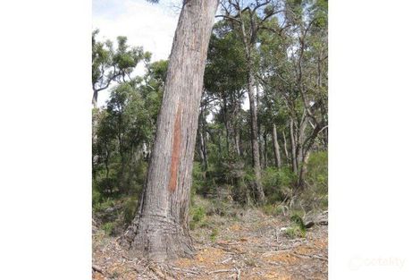 Property photo of 51 Jarrah Road Manjimup WA 6258