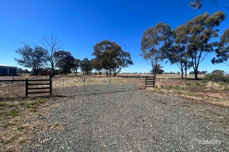 59 Yiddah Dr, Wyalong, NSW 2671