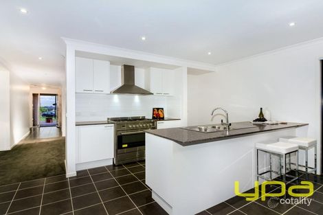 Property photo of 17 Cobble Street Cobblebank VIC 3338