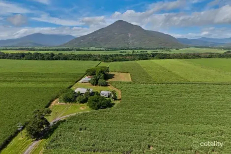280 Highleigh Rd, Gordonvale, QLD 4865
