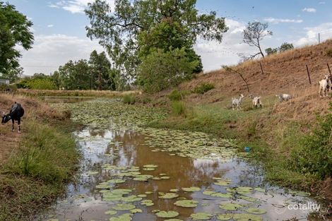 Property photo of 20 Dolleys Road Withcott QLD 4352