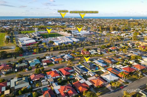 Property photo of 17 Bianco Street Kippa-Ring QLD 4021
