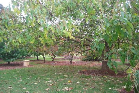 Property photo of 19 Greenland Drive Drouin VIC 3818