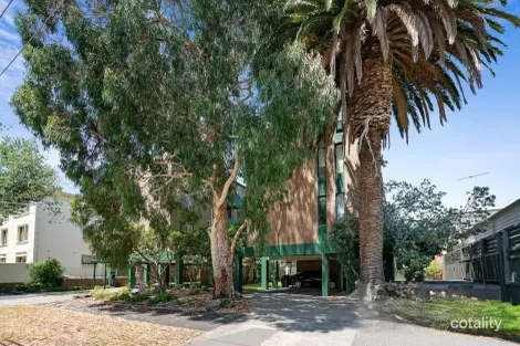 3/223-227 Bridport St W, Albert Park, VIC 3206