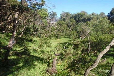 18 Marcia Ave, Rye, VIC 3941