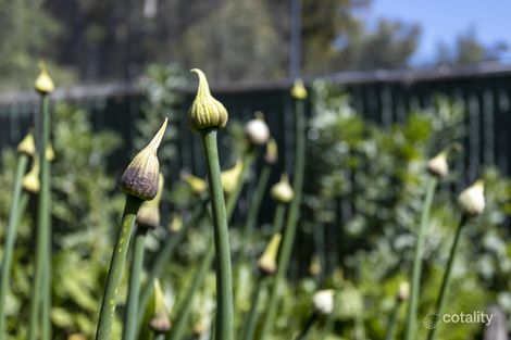 Property photo of 77 Watsons Road Kettering TAS 7155