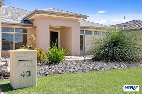 Property photo of 43 Grampians Loop Yanchep WA 6035