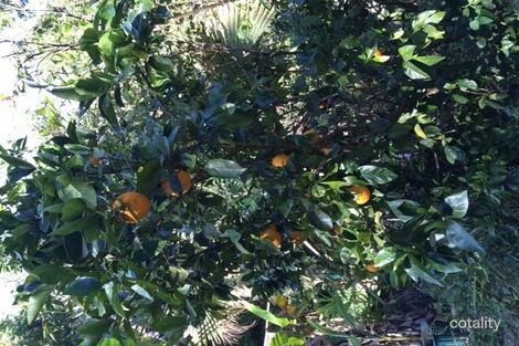 Property photo of 21 Gidgee Court Doonan QLD 4562