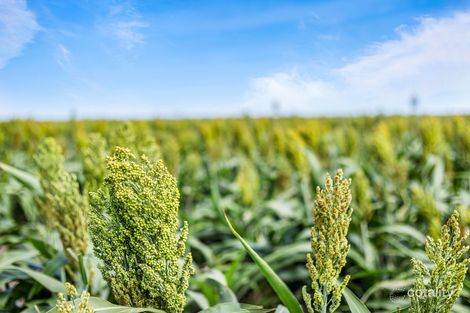 11/722 Mcpherson Rd, Norwin, QLD 4356