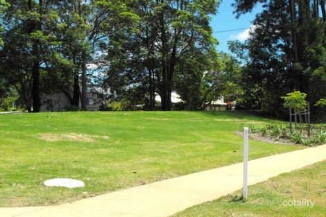 Property photo of 58 Petigrain Avenue Palmwoods QLD 4555