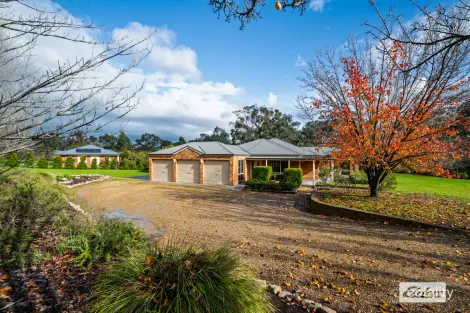 15 Gale Ct, Thurgoona, NSW 2640