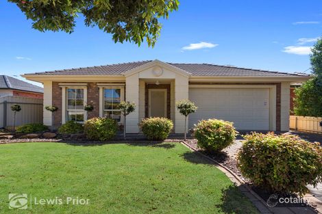 22 Rudford St, Brighton, SA 5048