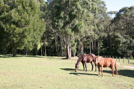 Property photo of 92 Wagonga Scenic Drive Narooma NSW 2546