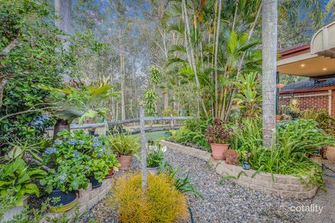 Property photo of 69 Eucumbene Drive Petrie QLD 4502