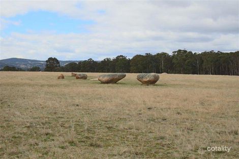 264 Carrot Farm Rd, Deepwater, NSW 2371