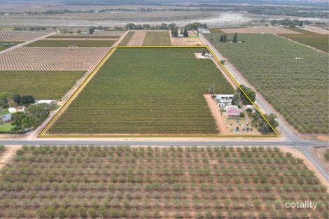 Property photo of 177 Begara Street Renmark North SA 5341