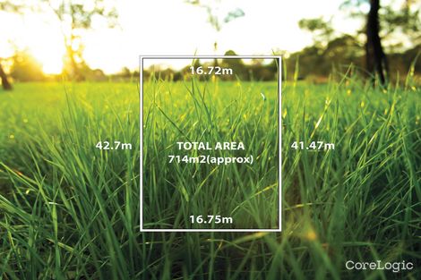 19 Freeman St, Balwyn, VIC 3103