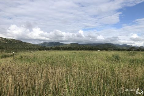 Property photo of 235 Laudham Road Pinnacles QLD 4815