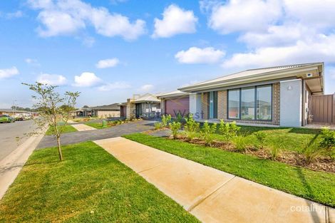 Property photo of 33 Kale Road Spring Farm NSW 2570