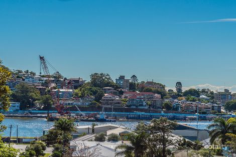 Property photo of 35 Harrison Street Bulimba QLD 4171