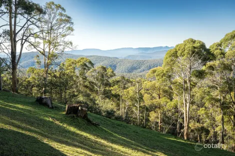 81 Gears Hill Rd, Tolmie, VIC 3723